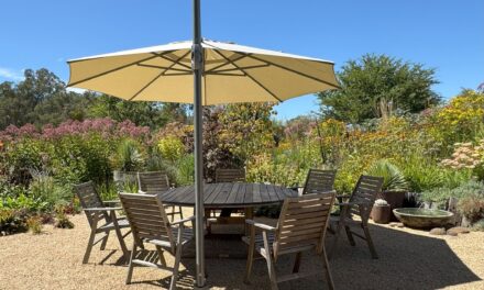 Autumn in the Garden